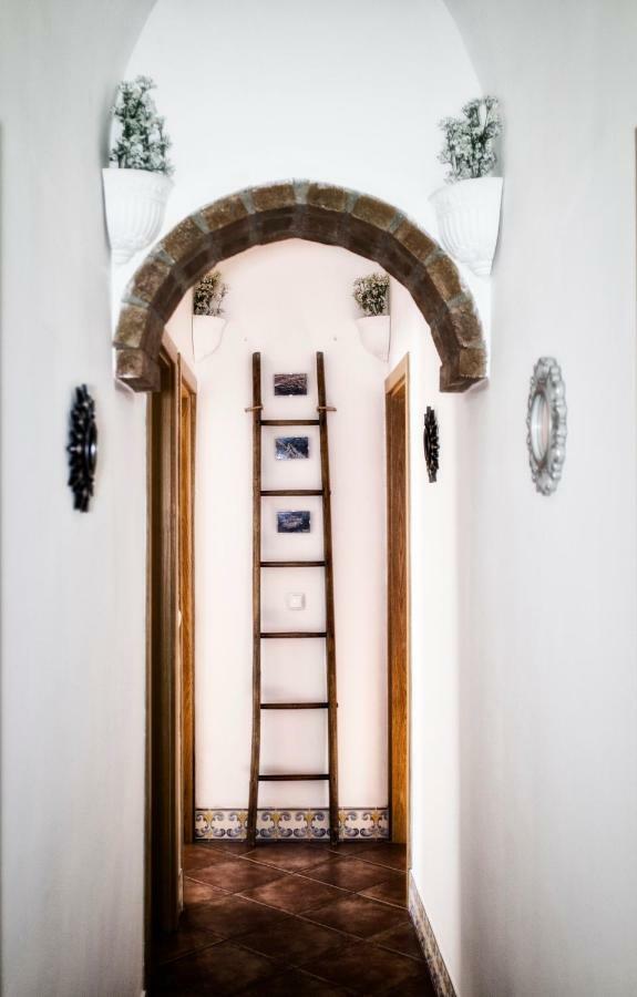 Casa Vitória Guest House Évora Zewnętrze zdjęcie